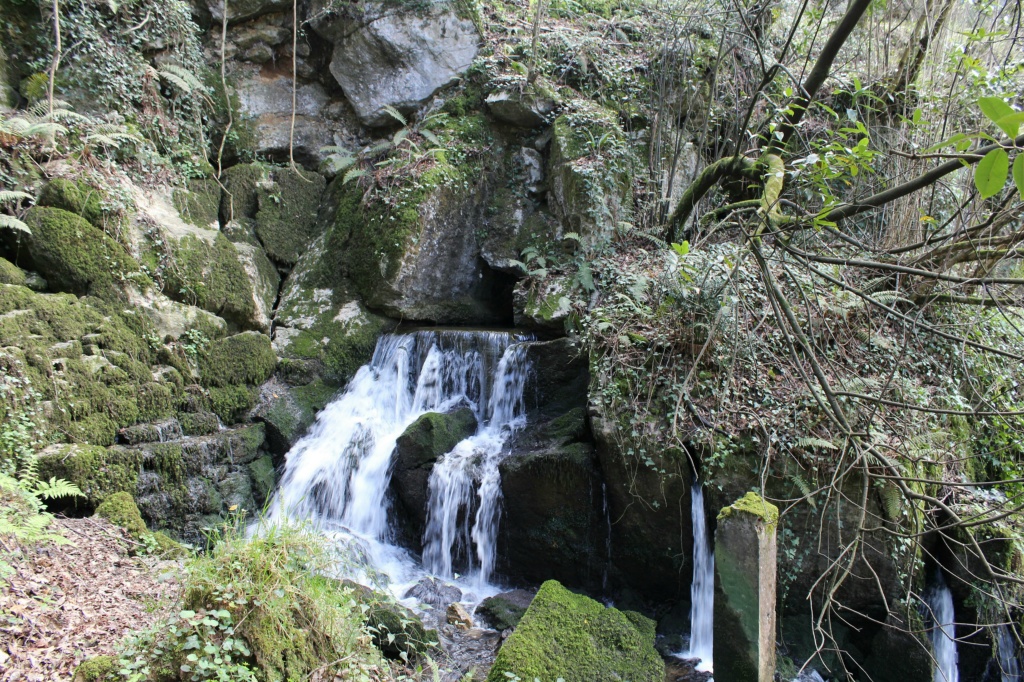 El manantial resized 1